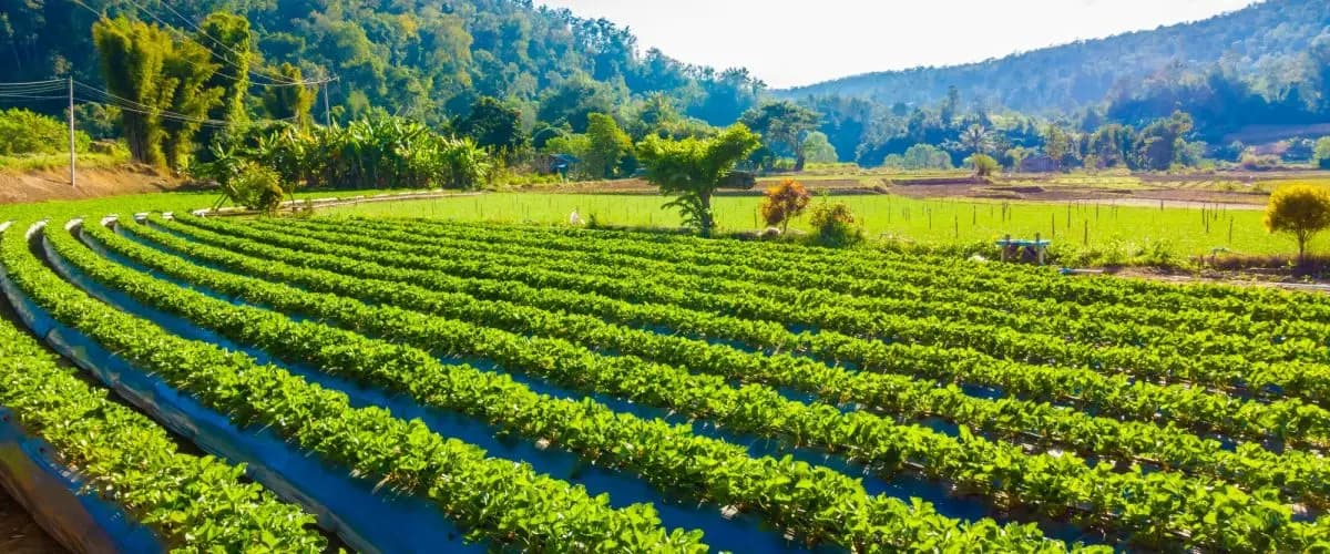 M3 Consulting and Services LLC